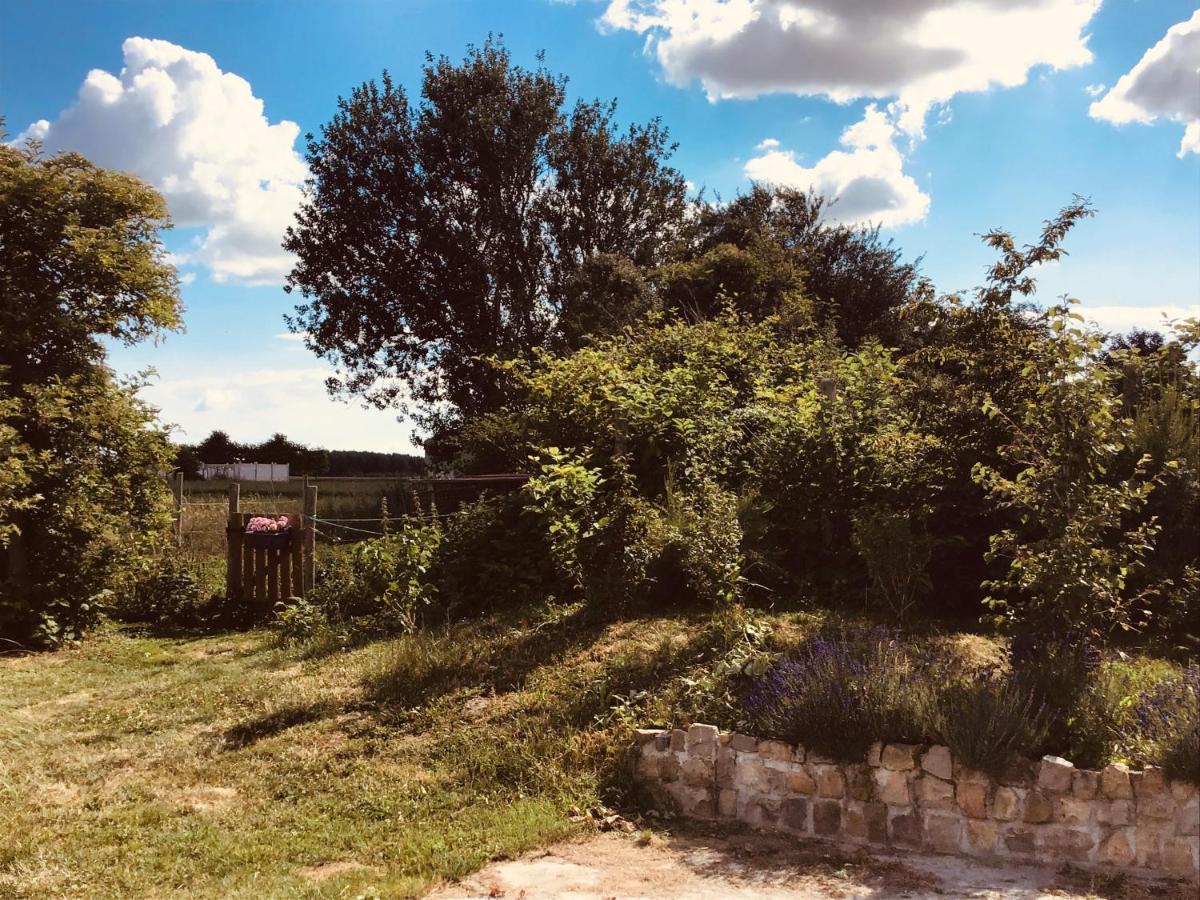 Le Chalet De La Ferme Du Tertre Villers-au-Tertre Oda fotoğraf