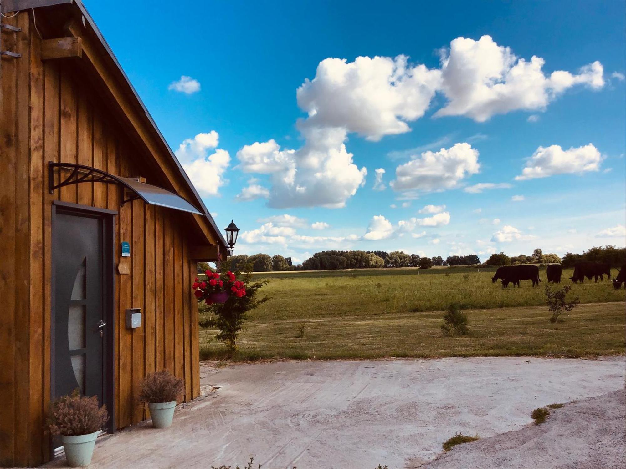 Le Chalet De La Ferme Du Tertre Villers-au-Tertre Oda fotoğraf